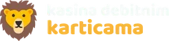 kasina-debitnim-karticama.com